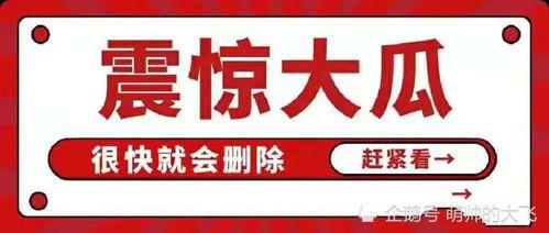 关于吃瓜娱乐八卦的网名,揭秘娱乐圈那些事儿